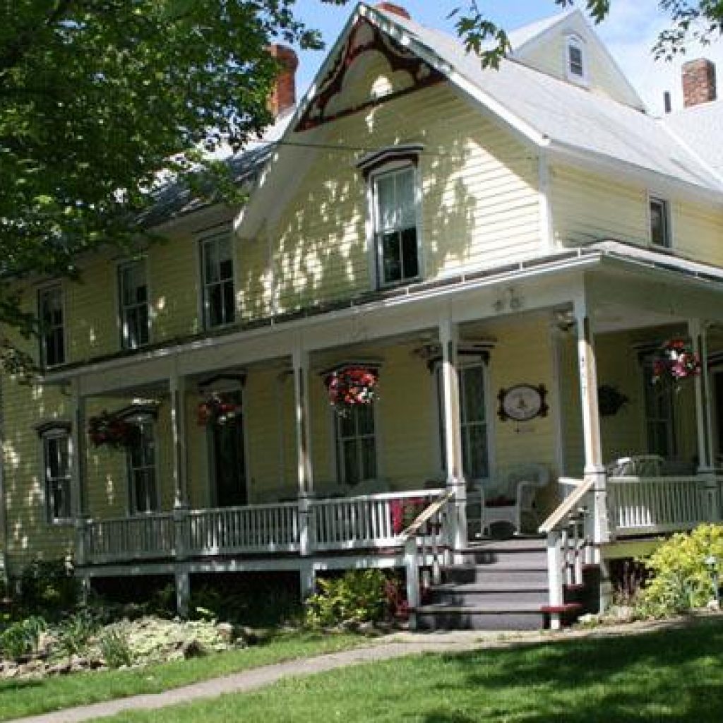 Ashley's Island House pictured under the shade of a tree.