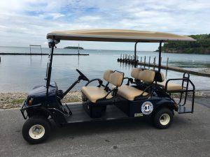 Put in Bay Golf Cart