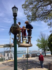 People planting in lamppost