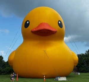 The Big Duck Visits The Bay!