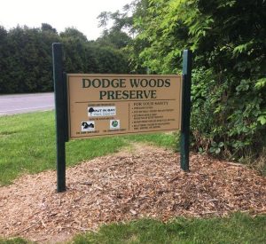 Dodge Woods Preserve
