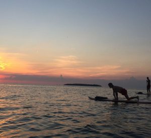 Bay Paddleboarding